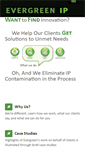 Mobile Screenshot of evergreenip.com